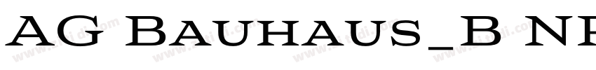 AG Bauhaus_B NPln Bo字体转换
